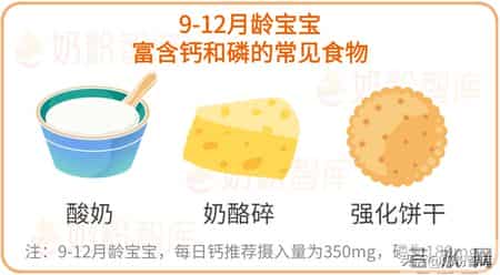 6~36月龄宝宝辅食添加攻略：营养重点、食材选择…每个月都不同