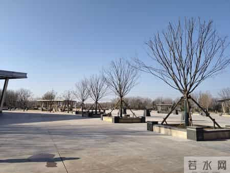 在施工管理中，如何协调不同阶段的建设规模