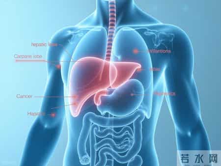 中国男性折寿原因被发现！研究50万人，饮酒可增加6种疾病发病率
