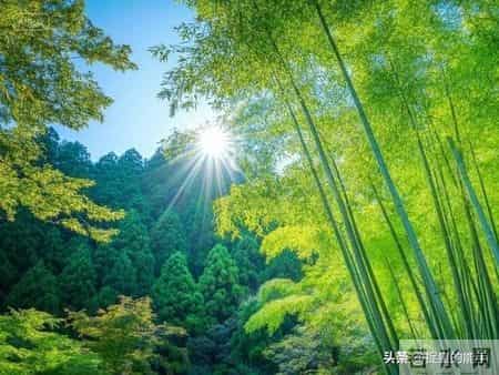 当孩子休学躺平，聪明父母先做这件事，改变自然发生