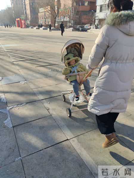 雪后带小外孙遛弯，枝头裹雪白茫茫，小家伙小脸冻红依旧乐不停