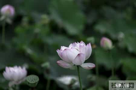 人到中年，最好的活法是不解释