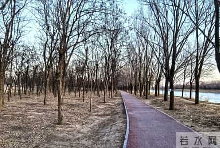 沈阳企退养老金真的“缴高领低”？我和鞍山表姐的对比说清真相