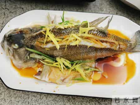 鲈鱼立大功！研究发现：肾衰竭患者常吃鲈鱼，或有 3 大好处