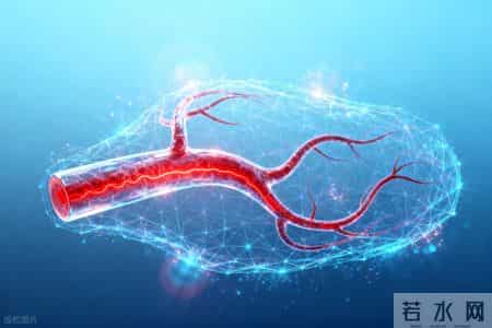 为何人最终都会死亡？医生：从血管角度来看，答案其实很简单