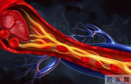 不是所有斑块都要吃药！医生：若报告上没有这5个字眼，大可放心