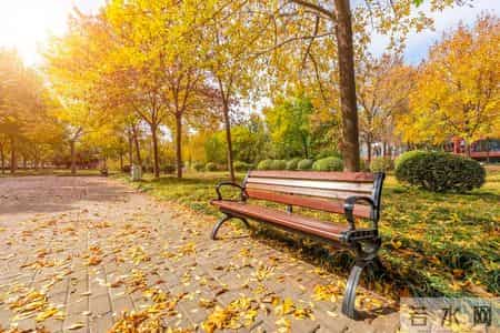 你还在做随时会被换掉的“有用人”？