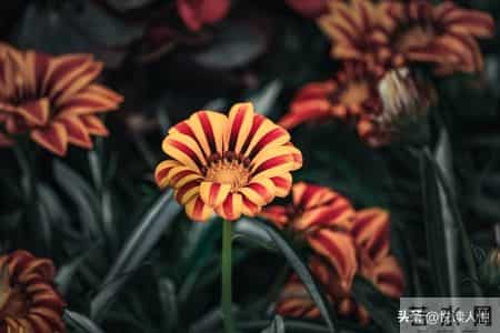 老人三道生死坎，熬过便是百岁人！不是73、84，而是这三个关键年