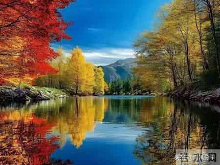 作为父母，千万别和自己的孩子较劲，心态好福气自然来