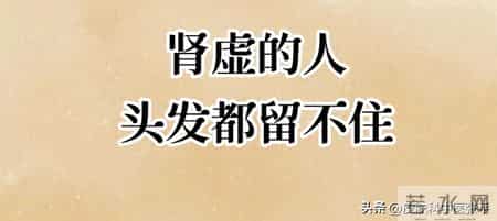 中医：肾虚的人，头发都留不住！但做好3件事，补肝肾，发根稳固