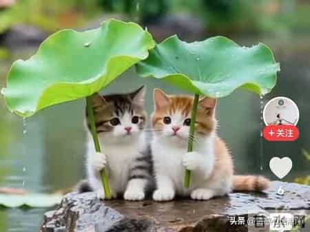 做事不需要人人都理解，做人不需要人人都喜欢