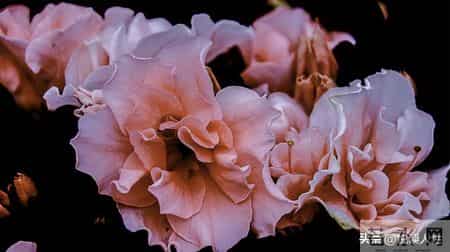 老人三道生死坎，熬过便是百岁人！不是73、84，而是这三个关键年