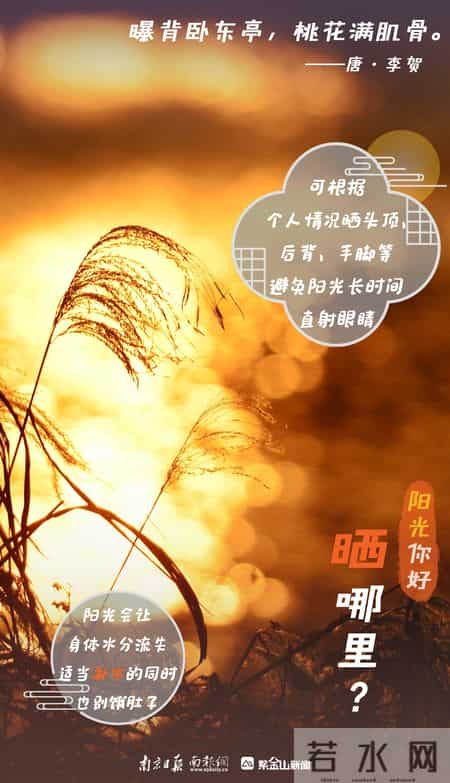 晒太阳可是“正经事”！冬日阳光“快充”指南→