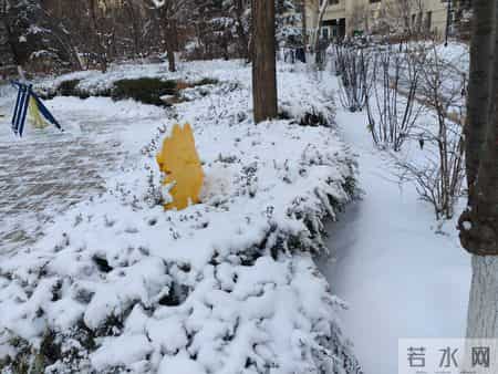 雪后带小外孙遛弯，枝头裹雪白茫茫，小家伙小脸冻红依旧乐不停