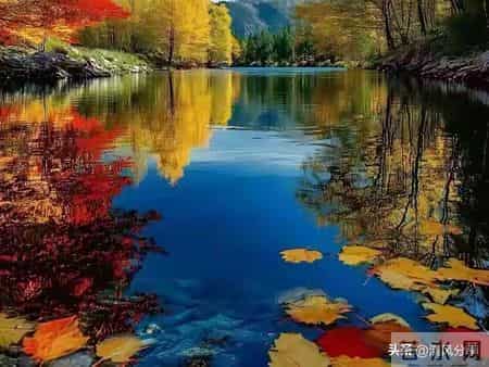 作为父母，千万别和自己的孩子较劲，心态好福气自然来