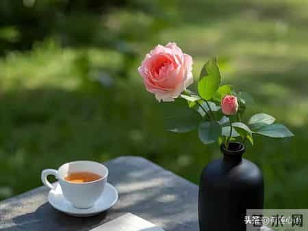 做事不需要人人都理解，做人不需要人人都喜欢