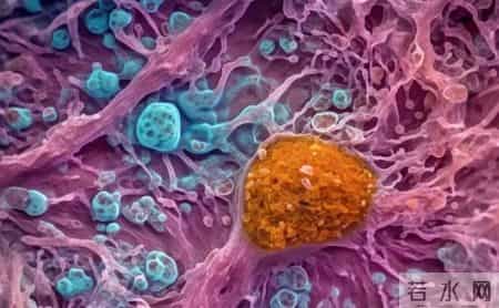 炎症是癌症的祸根，患上这3种炎症不要拖，及时干预还有救！