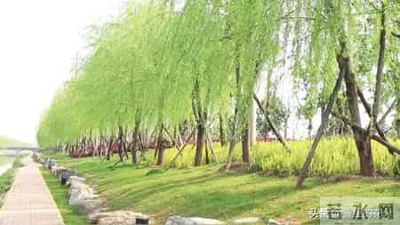 老了才明白：兜里揣好2样东西，比儿女孝顺更靠谱