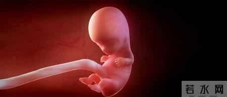 我可能怀孕了吗？怀孕第2个月会有哪些变化以及应该注意什么？