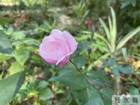 70后51岁被职场边缘化的我，今天的我或许就是明天的你