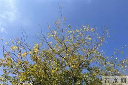 沈阳企退养老金真的“缴高领低”？我和鞍山表姐的对比说清真相