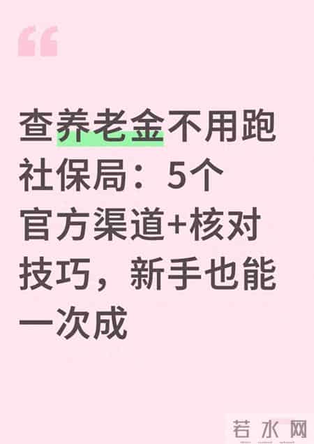 查养老金不用跑社保局：5个官方渠道+核对技巧，新手也能一次成
