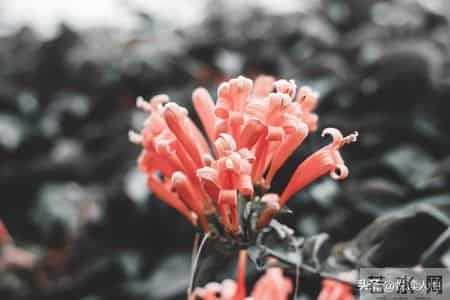 老人三道生死坎，熬过便是百岁人！不是73、84，而是这三个关键年