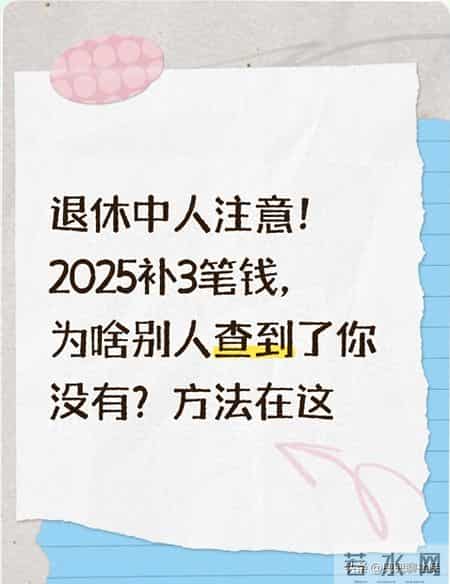 退休中人注意！2025补3笔钱，为啥别人查到了你没有？方法在这