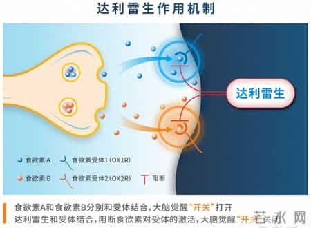 失眠新药达利雷生获批上市，长期服用安全吗？研究告诉你