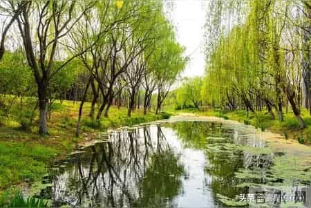 老了才明白：兜里揣好2样东西，比儿女孝顺更靠谱