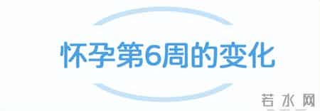 我可能怀孕了吗？怀孕第2个月会有哪些变化以及应该注意什么？