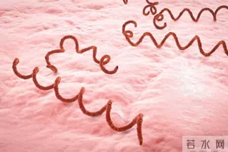 日本飙升的梅毒扩散，梅毒真的这么厉害吗？