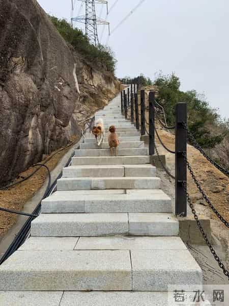 月薪3000到年薪50万：我用5年，改写了职场“底层剧本”