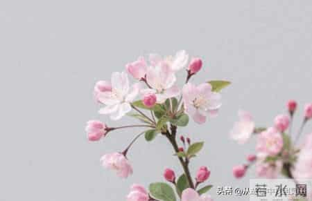 聪明父母从不对外人提子女的这3件事，这是远见