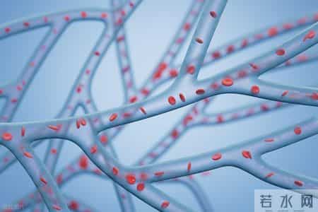 为何人最终都会死亡？医生：从血管角度来看，答案其实很简单