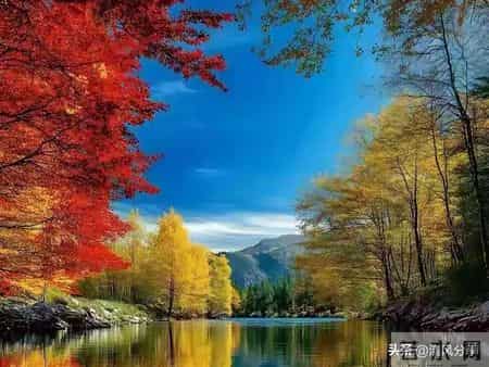 作为父母，千万别和自己的孩子较劲，心态好福气自然来