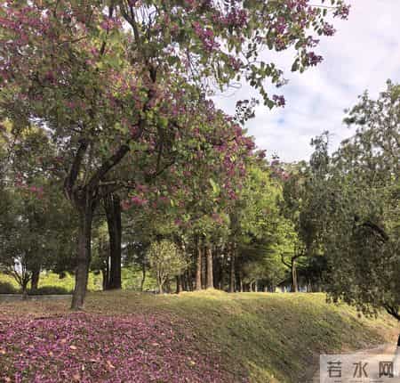 前半生为家国后半程归山海：我们这代人的退休，不是落幕，是启程