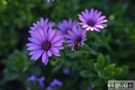 老人三道生死坎，熬过便是百岁人！不是73、84，而是这三个关键年