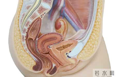 私处若出现3种变化，可能是卵巢囊肿的信号，检查早发现更安心