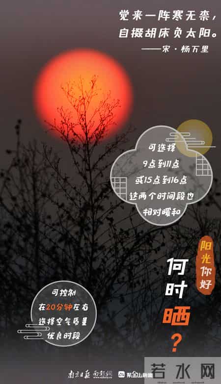 晒太阳可是“正经事”！冬日阳光“快充”指南→